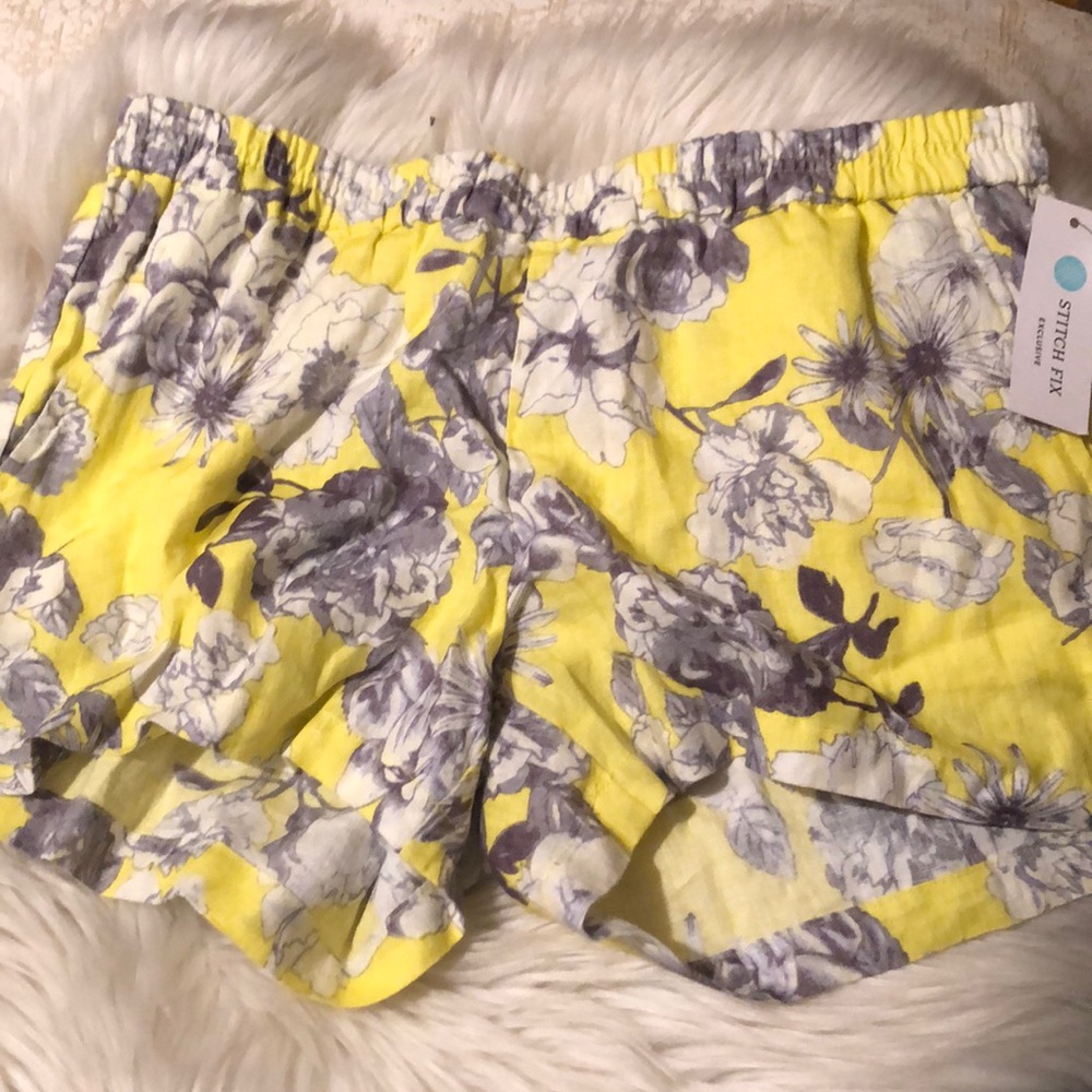 NWT Kut from the Kloth shorts from Stitch Fix